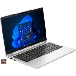 HP ProBook 445 G10 (816J3EA), Notebook