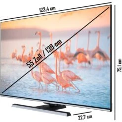 JVC LT-55VU8156, LED-Fernseher -HPP Computer Geschaft JVC LT 55VU8156 LED Fernseher@@1913741 2