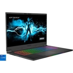 Medion ERAZER Beast X30 (30033748), Gaming-Notebook