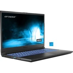 Medion ERAZER Crawler E30 (MD62391), Gaming-Notebook