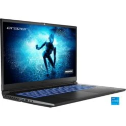 Medion ERAZER Specialist P10 (MD62434), Gaming-Notebook