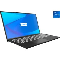 Schenker WORK 15 - M23 (10506247), Notebook