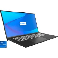 Schenker WORK 17 M23 (10506249), Notebook