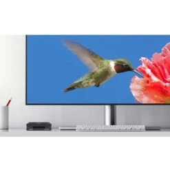 Sonnet SxS PRO X Single-Slot Card Reader, Kartenleser -HPP Computer Geschaft Sonnet SxS PRO X Single Slot Card Reader Kartenleser@@1786899 2